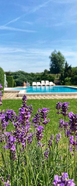 Ginti Panzió Magyarszombatfa