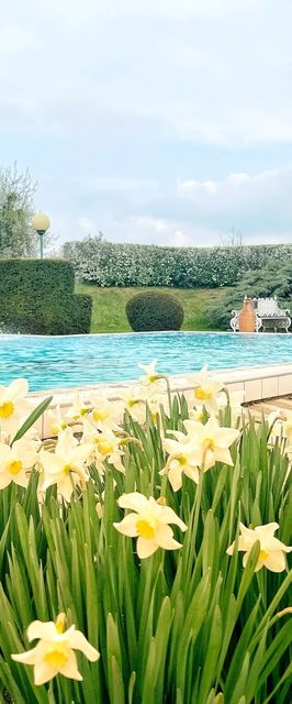 Ginti Panzió Magyarszombatfa 