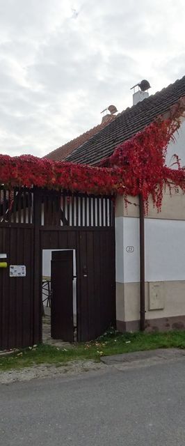 Chalupa U Hovorků Vlkov