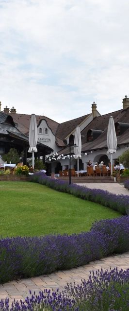 Fiastyúk Udvarház Csór