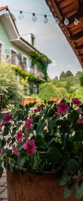 Penzión Tematín Wellness & Spa Moravany nad Váhom