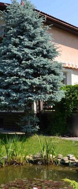 Ubytování Alena Ostrava