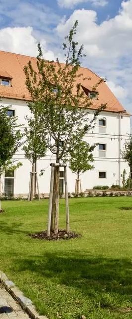 Lotrinský hotel Velké Pavlovice