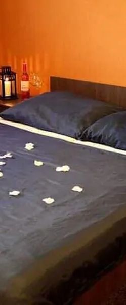 3 Kaštany Penzion&Restaurace Velké Heraltice