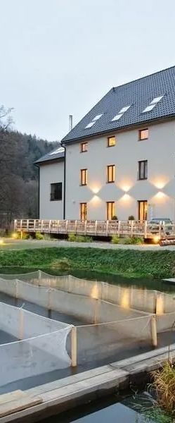 Davidův mlýn Staré Těchanovice