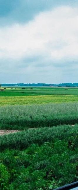 Pasieka Smakulskich Pakosław 