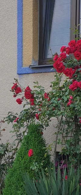 Vila Imagina Ratboř