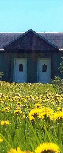 Apartmány Potůčky