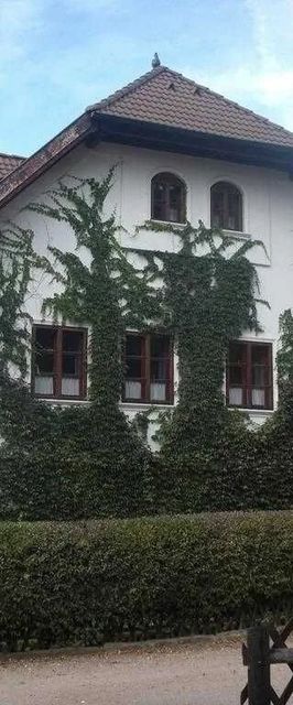 Penzion Bučický Mlýn Rožďalovice