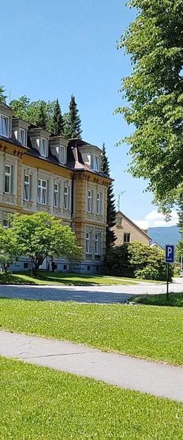 Villa Louise Lipová-lázně