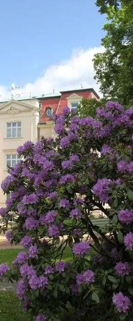 Hotel Tereza Karlovy Vary