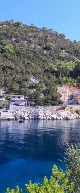 Robinson House Bella Bogomolje