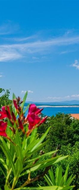 Apartman Rajnovic Crikvenica