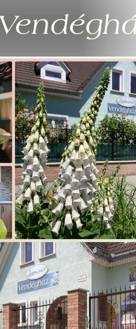 Jasmine's Vendégház Győr