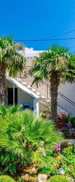 Apartmani Katica Povile