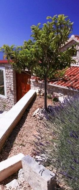 Robinson House Orpheus Bol