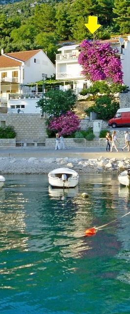 Apartment Ksenija Drvenik