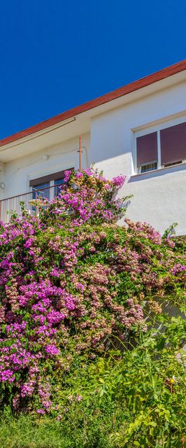 Apartment Eugen Crikvenica