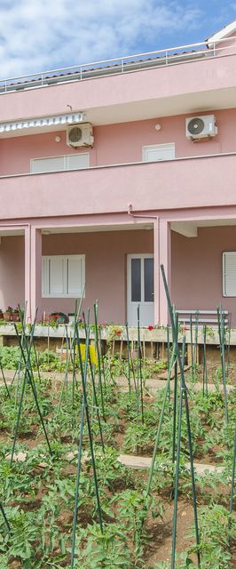 Apartment Sime Brodarica