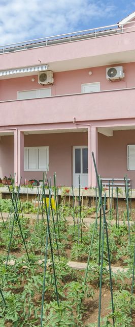 Apartment Sime Brodarica