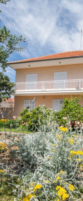Apartments Amalthea Biograd