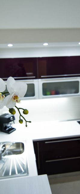 Apartment Songbird Biograd