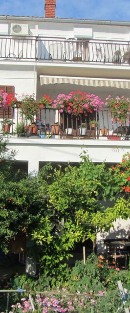 Apartments Grapevines Biograd