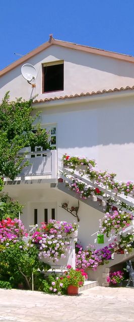 Apartments Rezika Palit