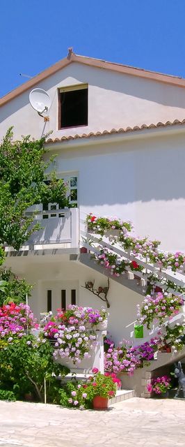 Apartments Rezika Palit