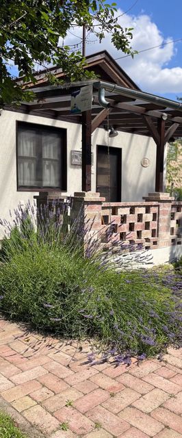 Aranypart Apartmanházak Tiszakécske