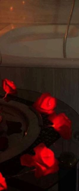 Sarolta Apartman Lovas