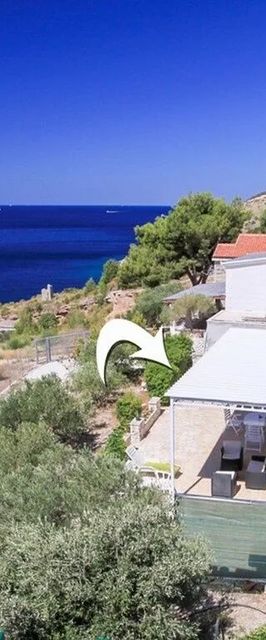 Robinson House Jimi Vela Planica