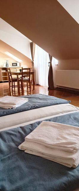 Hajdúböszörményi Gyógyapartman Hajdúböszörmény 