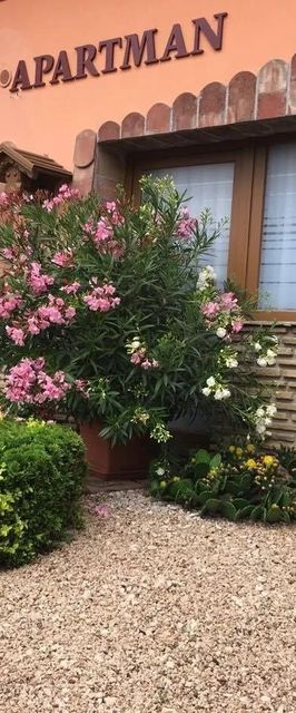 Chloe Apartman Szigetvár