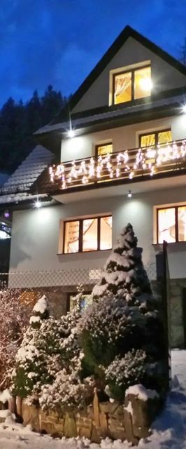 Villa Vista Apartamenty & Sauna Zakopane