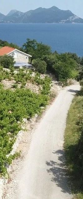 Robinson House Dingač Trstenik