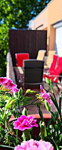 100 lépés Apartman Harkány