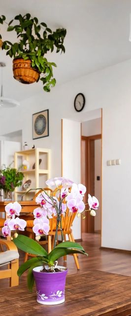 Mandala Lak Apartman Balatonfüred