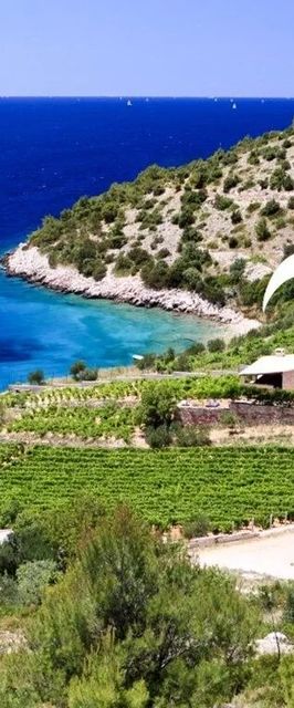 Robinson Villa Afrodita Zagradac