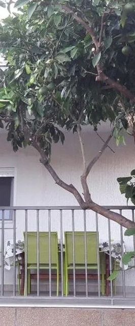 Apartment Sole Vinišće