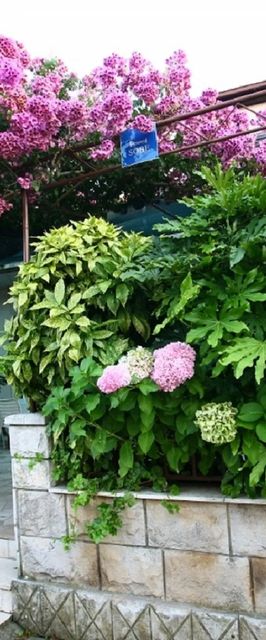 Apartmanok A Tenger Mellett Loviste Peljesac - 15150 Lovište