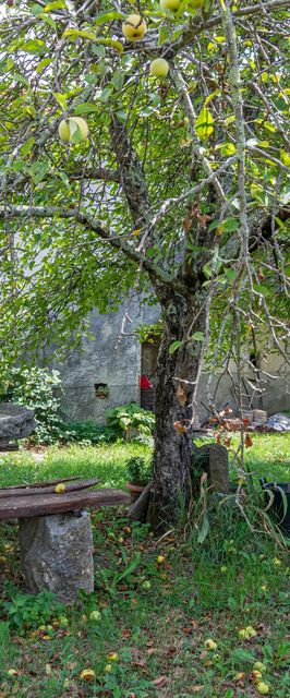 Apartmanok Parkolóhellyel Buzet, Sredisnja Istra - 17333 Buzet