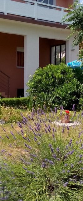 Apartmanok Parkolóhellyel Kampor, Rab - 17886 Kampor