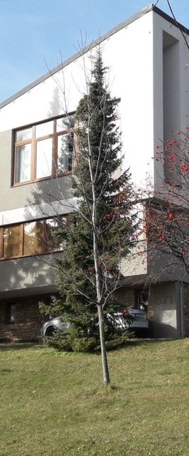 Apartmány Snow Starý Smokovec