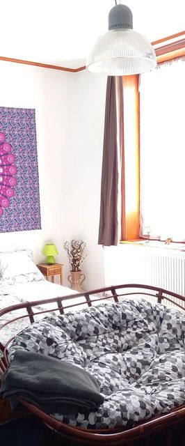 Esőerdő Apartman Eger