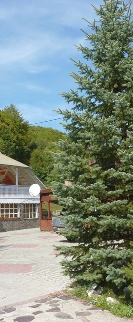 Casa de Oaspeți Simon Csilla 1. Satu Mare