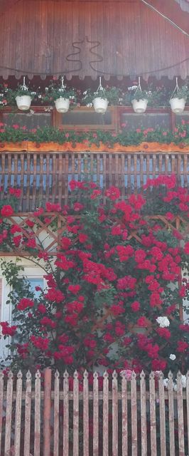 Casa de Oaspeți Kopó Chibed