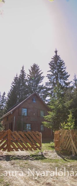 Casa de vacanță Laura Borzont