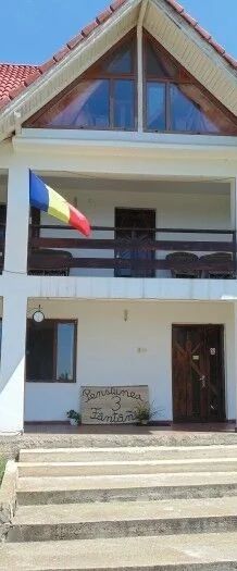 Pensiunea 3 Fântâni Runcu