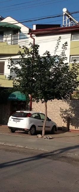 Pensiunea Nicol Tulcea